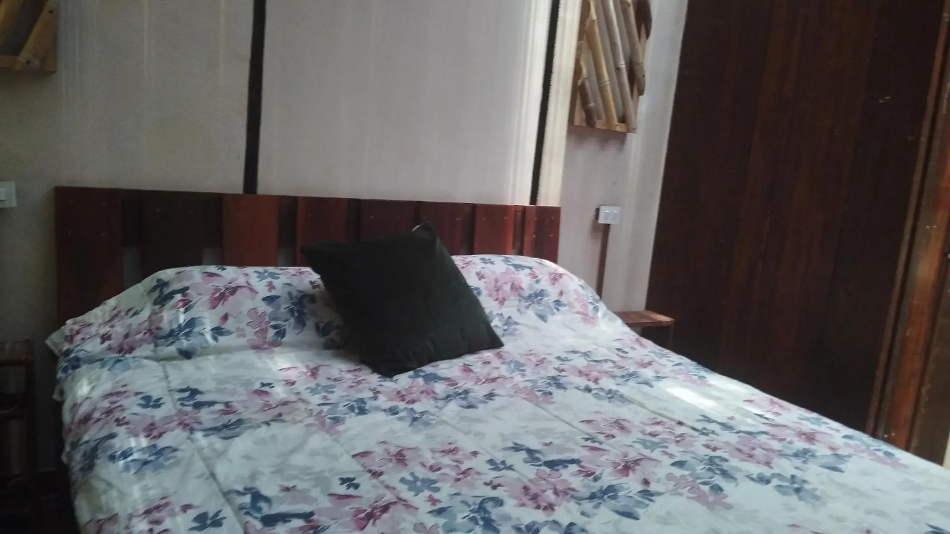 Hotel Free Style Tulum Guest house