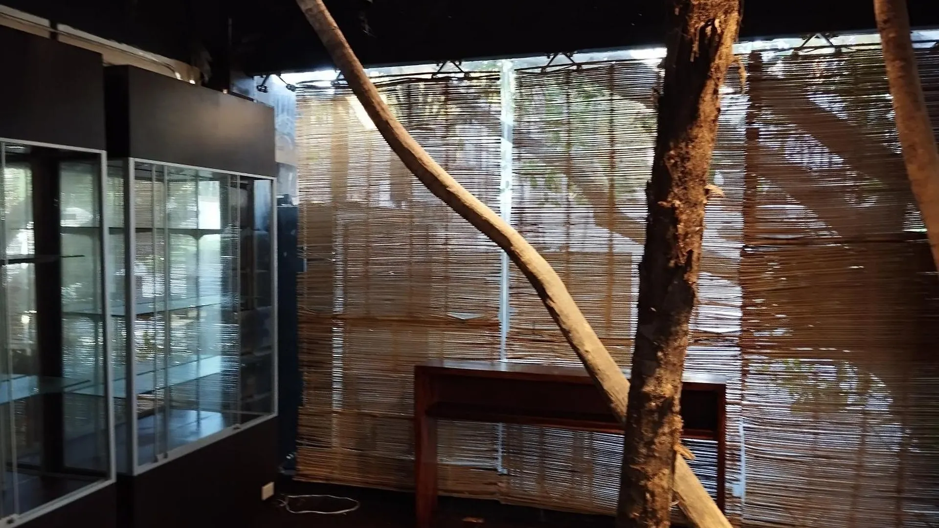 Hotel Free Style Tulum location
