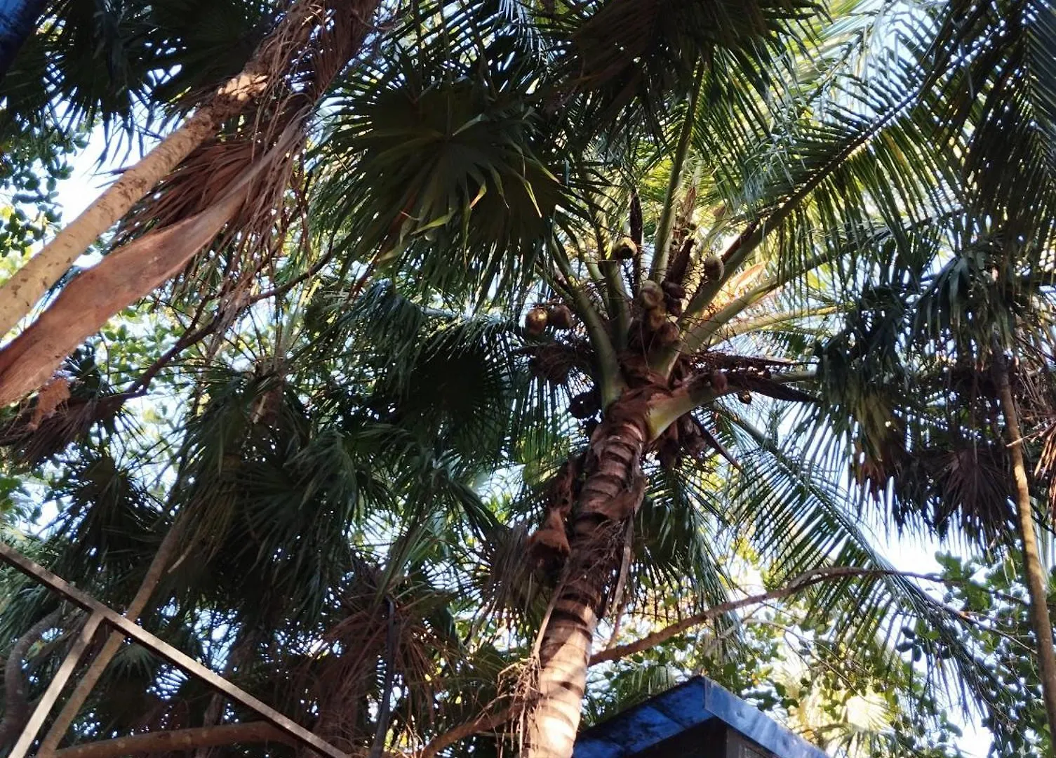 Guest house Hotel Free Style Tulum