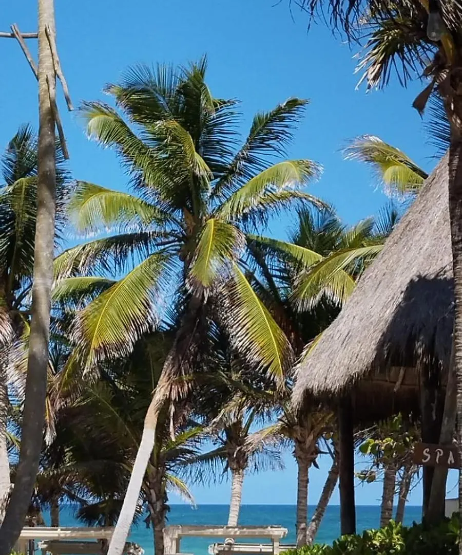 Hotel Free Style Tulum 0*,  Mexico